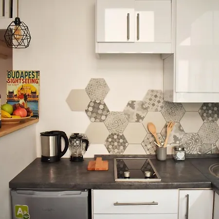 Lovely Downtown In 布达佩斯